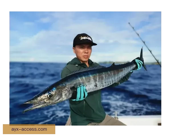 本西蒙斯转战钓鱼领域挑战极限成功晒出金枪鱼钓获喜悦